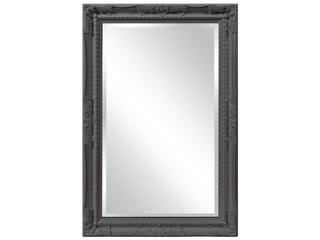 Howard Elliott Queen Ann Rectangular Wall Mirror