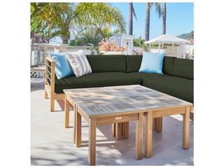 HiTeak Soho Wood Jungle Teak Cushion Lounge Chair
