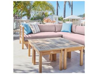 HiTeak Soho Wood Pink Teak Cushion Lounge Chair