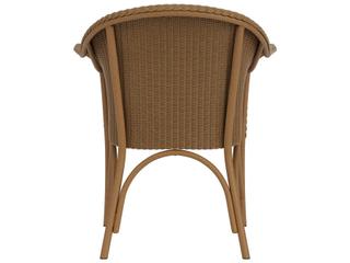 Lloyd Flanders All Seasons Wicker Dining Armchair with Padded Seat