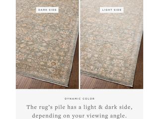 Loloi Rugs Chris Loves Julia Palma Oriental Runner Area Rug