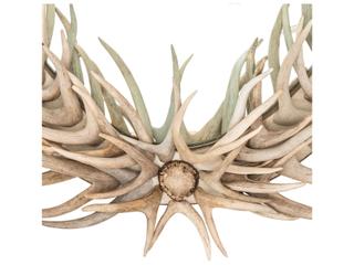 Meyda Antlers Beige Oval Wall Mirror