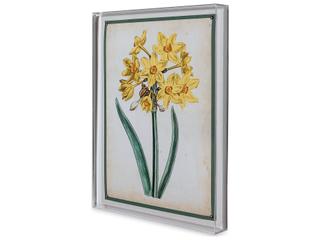 Port 68 Narcissus Ii
