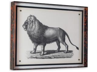 Port 68 Lion