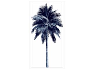 Palm Tree Blue I Framed Giclee Wall Art in White Shadow Box Frame