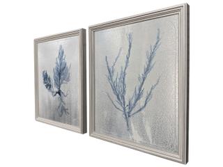 Paragon Oceanic Curiosity I Painting Set of 2