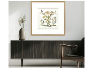 Paragon Botanica I Painting