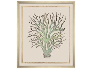 Paragon Seaweed On Linen I Framed Art