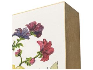 Paragon Floral Snapshot I Painting Set of 4