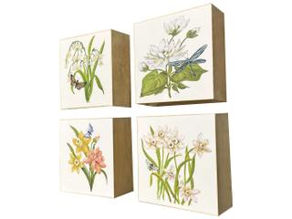 Paragon Floral Snapshot II Painting Set of 4