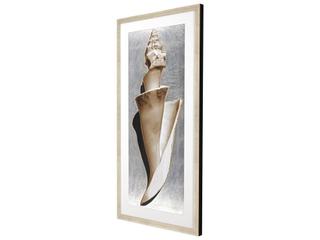 Paragon Modern Shell II Framed Art