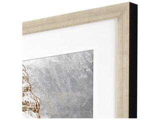 Paragon Modern Shell II Framed Art