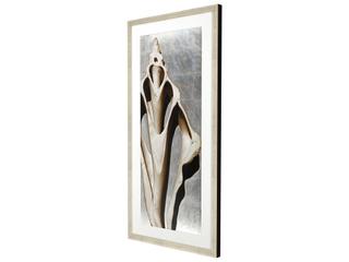 Paragon Modern Shell III Framed Art