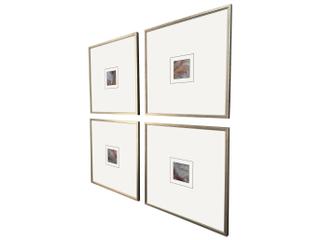 Paragon Natural Patterns I Painting Set of 4