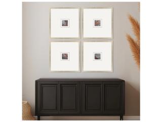 Paragon Natural Patterns I Painting Set of 4