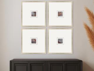 Paragon Natural Patterns I Painting Set of 4
