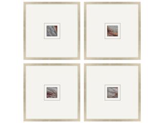 Paragon Natural Patterns II Painting Set of 4