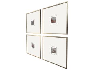 Paragon Natural Patterns II Painting Set of 4