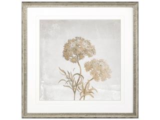 Paragon Delicate Beauty I Framed Art