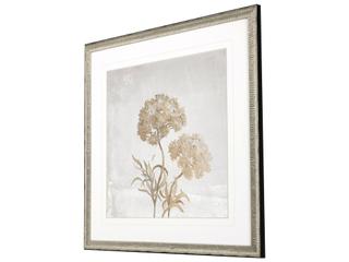 Paragon Delicate Beauty I Framed Art