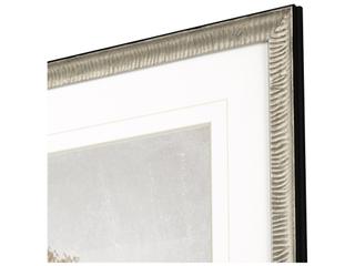 Paragon Delicate Beauty I Framed Art