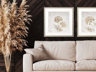 Paragon Delicate Beauty I Framed Art