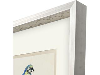 Paragon Treasure Parrot I Framed Art