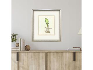 Paragon Treasure Parrot II Framed Art