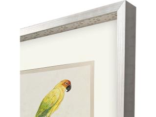 Paragon Treasure Parrot III Framed Art