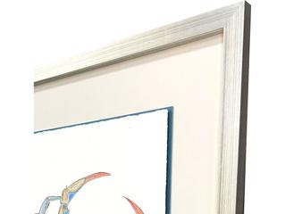 Paragon Crab I Celebration Seahorse Framed Art