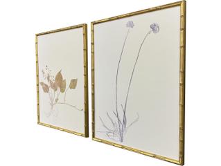 Paragon Floral Trace II Framed Art - Set of 2