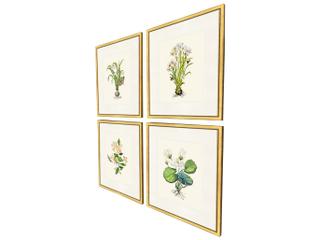 Paragon Delicate Medley I Painting Set of 4