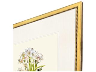 Paragon Delicate Medley I Painting Set of 4