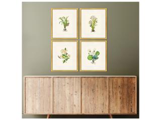 Paragon Delicate Medley I Painting Set of 4