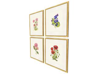 Paragon Delicate Medley III Painting Set of 4