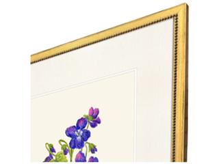 Paragon Delicate Medley III Painting Set of 4