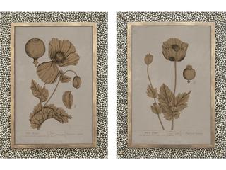 Paragon Botanical Wonder I Wall Sculpture - Set of 2