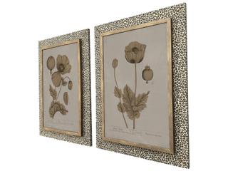 Paragon Botanical Wonder I Wall Sculpture - Set of 2