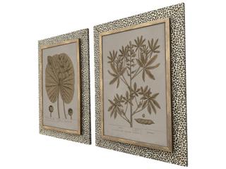 Paragon Botanical Wonder II Wall Sculpture - Set of 2