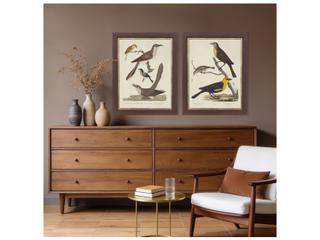 Paragon Ornithology I Framed Art - Set of 2