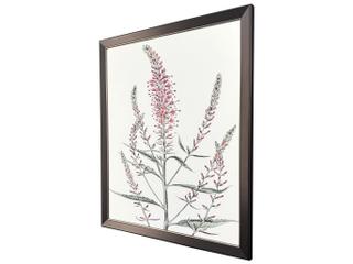Paragon Pink Veronique I Canvas Wall Art