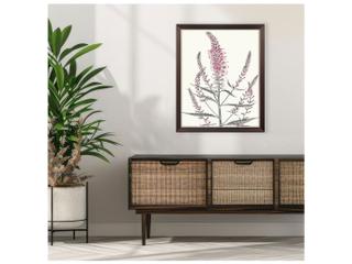 Paragon Pink Veronique I Canvas Wall Art