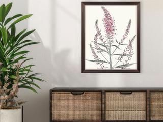Paragon Pink Veronique I Canvas Wall Art