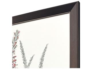 Paragon Pink Veronique II Canvas Wall Art