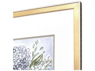 Paragon Pastel Florals II Painting Set of 2