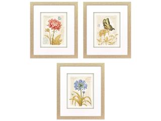 Paragon Nature's Wonder II Painting Set of 3