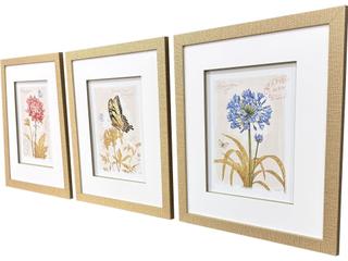 Paragon Nature's Wonder II Painting Set of 3