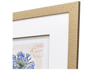 Paragon Nature's Wonder II Painting Set of 3