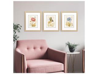 Paragon Nature's Wonder II Painting Set of 3