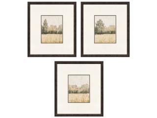 Paragon Watercolor Woods I Painting Set of 3